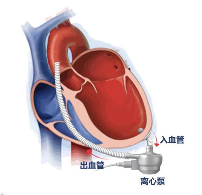 微信图片_20221110113845.jpg